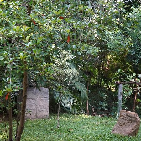 Sandra Guesthouse Dambulla Exterior foto