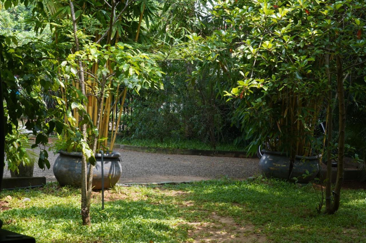 Sandra Guesthouse Dambulla Exterior foto