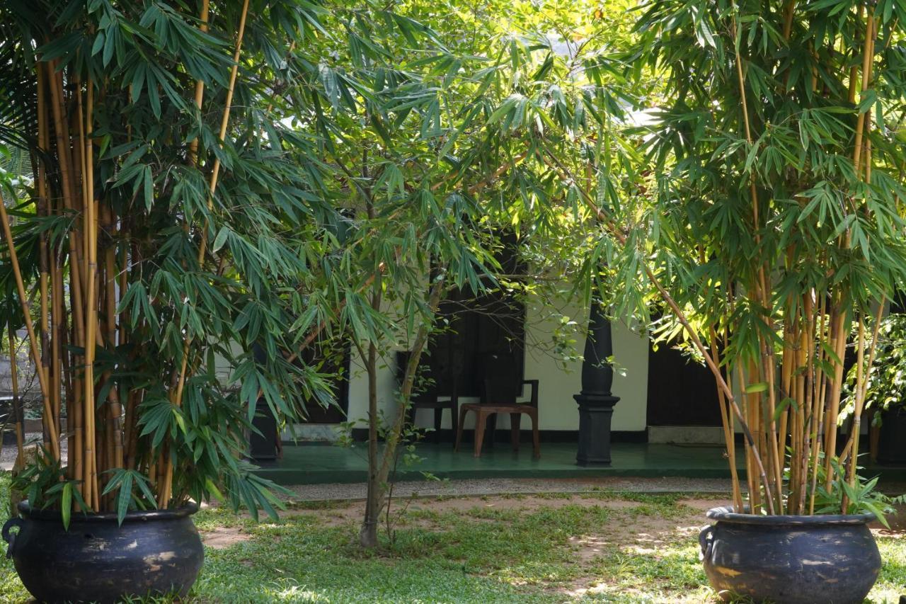 Sandra Guesthouse Dambulla Exterior foto